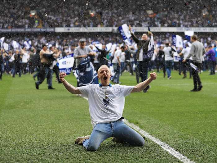 tottenham-arena-fan.jpg